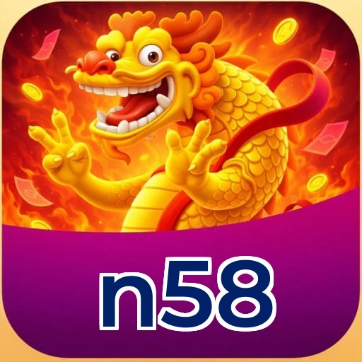 Instruções Download n58